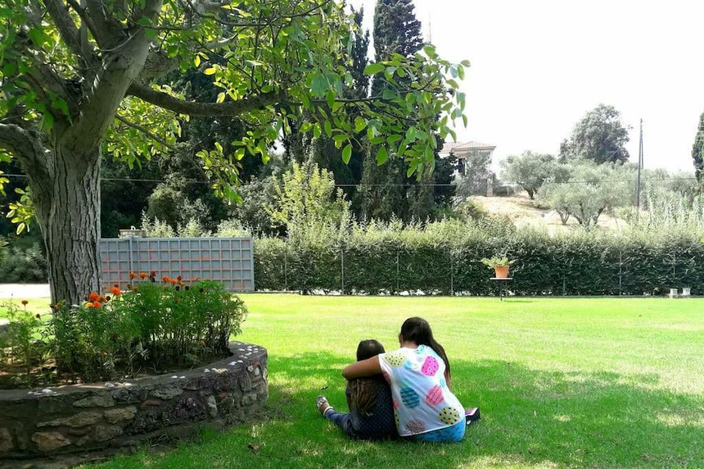 A House Between Ancient Olympia And The Ionian Sea Levendokhórion Buitenkant foto